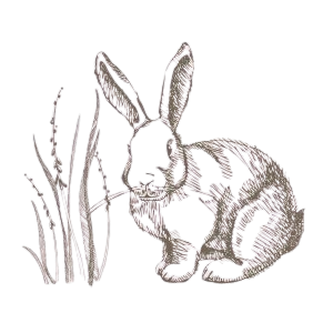 Low Tox Rabbit logo — Labour and Love featured by Low Tox Rabbit